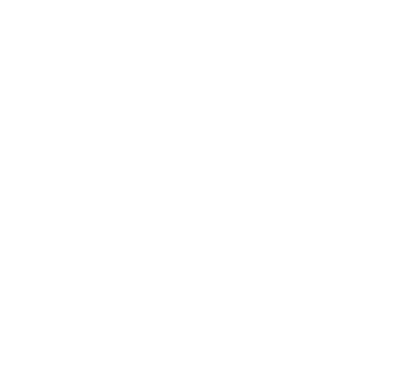 fondo-premio-2